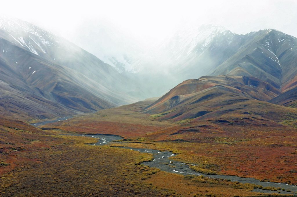 Curaduría Bioma Tundra – Construyendo Geografía 2.0